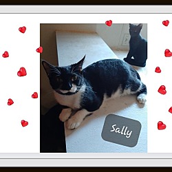 Thumbnail photo of Sally - Be My #1 #2