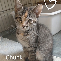 Thumbnail photo of Chunk #3