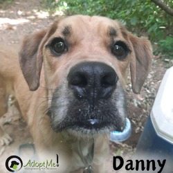 Thumbnail photo of DANNY #2