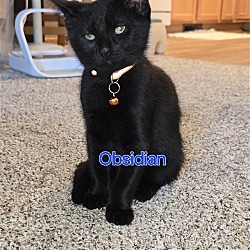 Photo of Obsidian