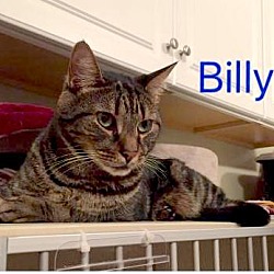 Thumbnail photo of BILLY #3