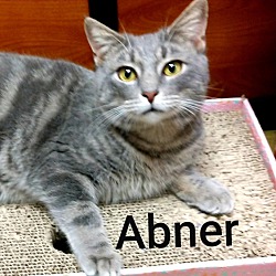 Photo of ABNER