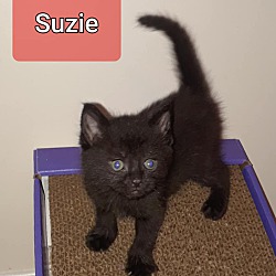 Photo of Suzie-LOVING-Bday 4-7-20