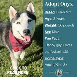 Photo of Onyx