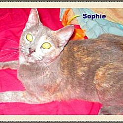 Thumbnail photo of Sophie #3