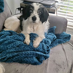 Photo of Delilah