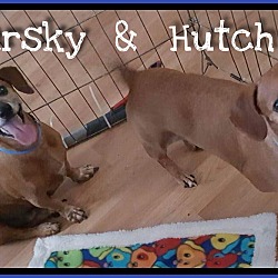 Thumbnail photo of Starksy & Hutch #1