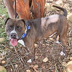 Thumbnail photo of Buddy #2
