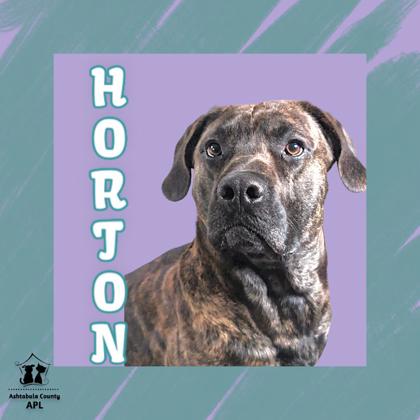 Thumbnail photo of Horton #1