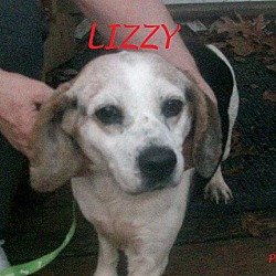 Thumbnail photo of LIZZY #2