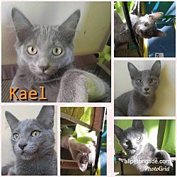 Photo of Kael