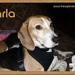 Thumbnail photo of Marla #1