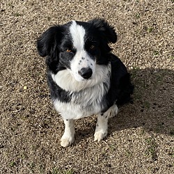 Photo of Molly