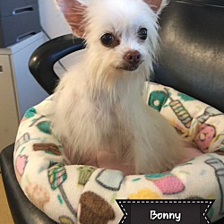 Photo of Bonny