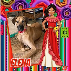 Thumbnail photo of Elena #1