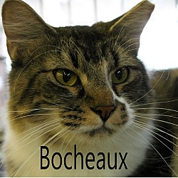 Photo of Bocheaux