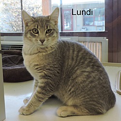 Thumbnail photo of Lundi #2