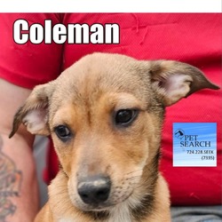 Photo of Coleman