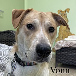 Photo of Vonn
