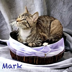 Photo of Mark 123622