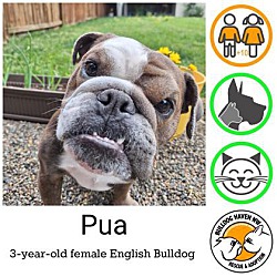 Thumbnail photo of Pua #1