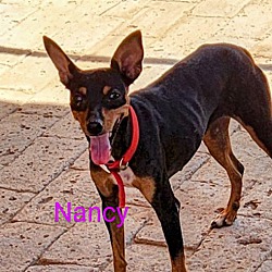 Thumbnail photo of Nancy #4