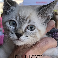 Thumbnail photo of Elliot #1