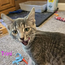 Photo of Trini