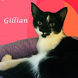 Thumbnail photo of GILLIAN #2