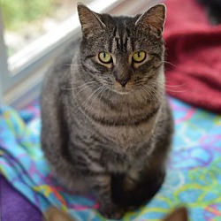 Thumbnail photo of Marley #4