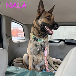 Photo of NALA