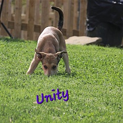 Photo of Unity