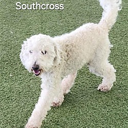 Thumbnail photo of Southcross #1