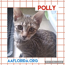 Thumbnail photo of Polly #2