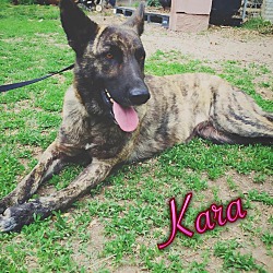 Photo of Kara