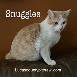 Photo of Snuggles