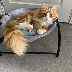 Photo of Clancy