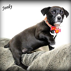 Thumbnail photo of Jordy ~ meet me! #2