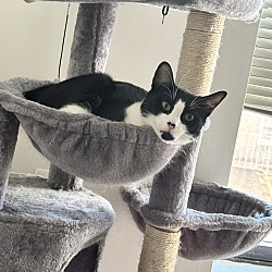 Photo of Mister