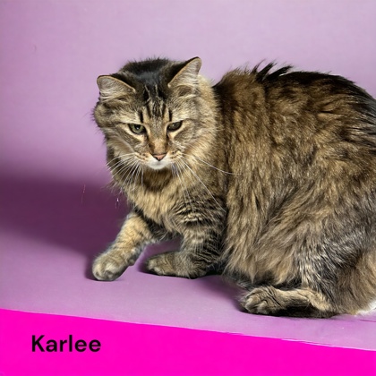 Photo of Karlee