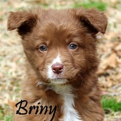 Thumbnail photo of Briny~adopted! #1
