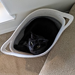 Photo of Zorro