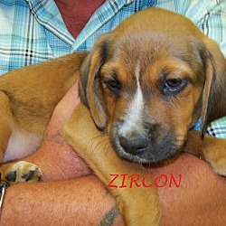 Thumbnail photo of ZIRCON #1