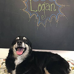 Photo of Logan
