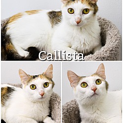 Photo of Callista