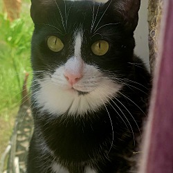Photo of Marie