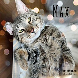 Photo of Max