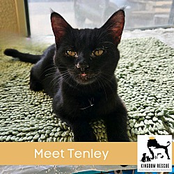 Thumbnail photo of Tenley #1