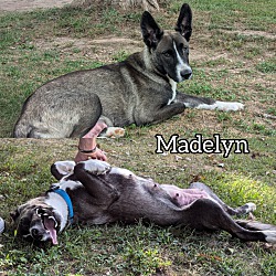 Thumbnail photo of Madelyn #1