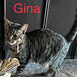 Thumbnail photo of Gina #1